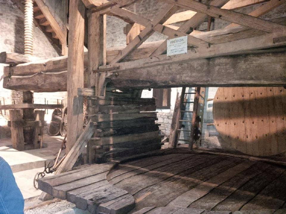 1910633_789673684416431_2726029012710072186_n.jpg