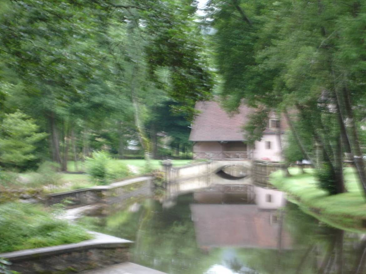 DSC07922.jpg