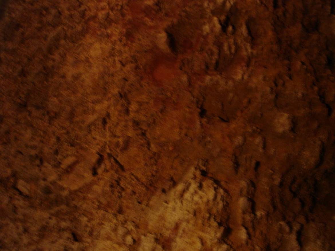 DSC07928.jpg