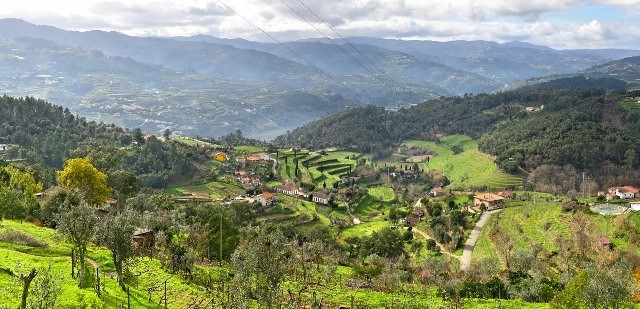 quinta_de_covela.jpg