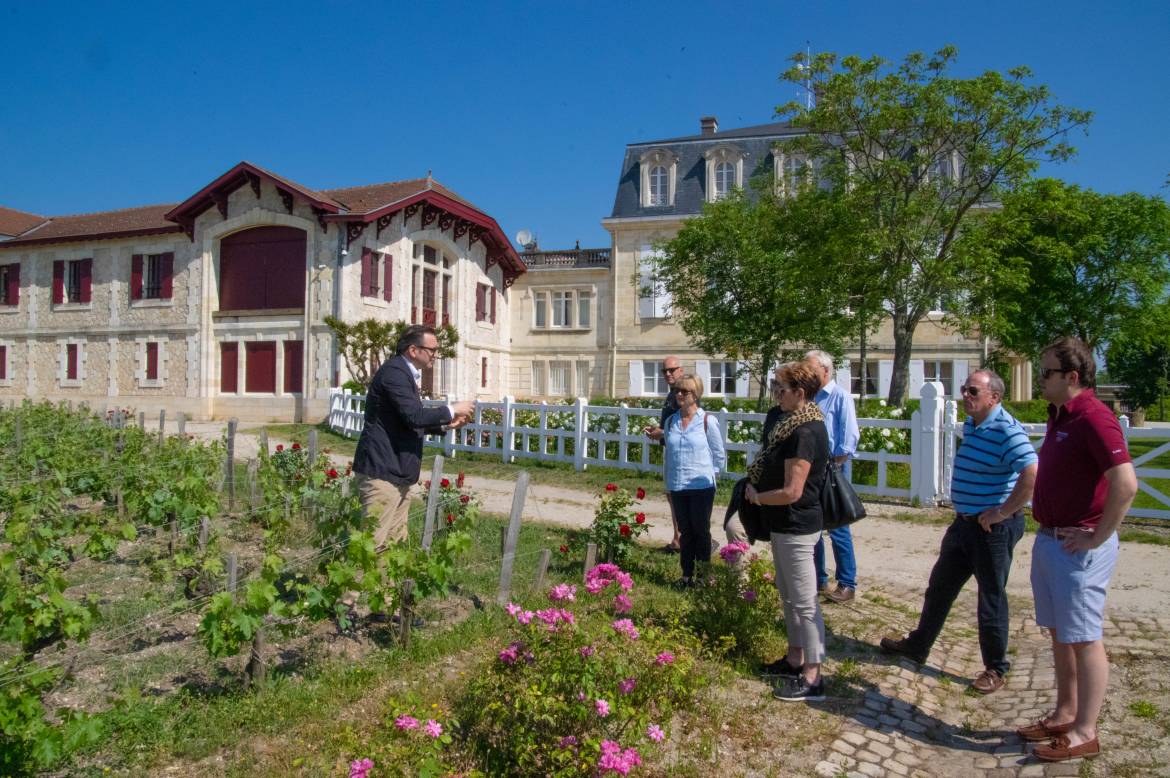 Pontet-Canet-group-vineyard.jpg